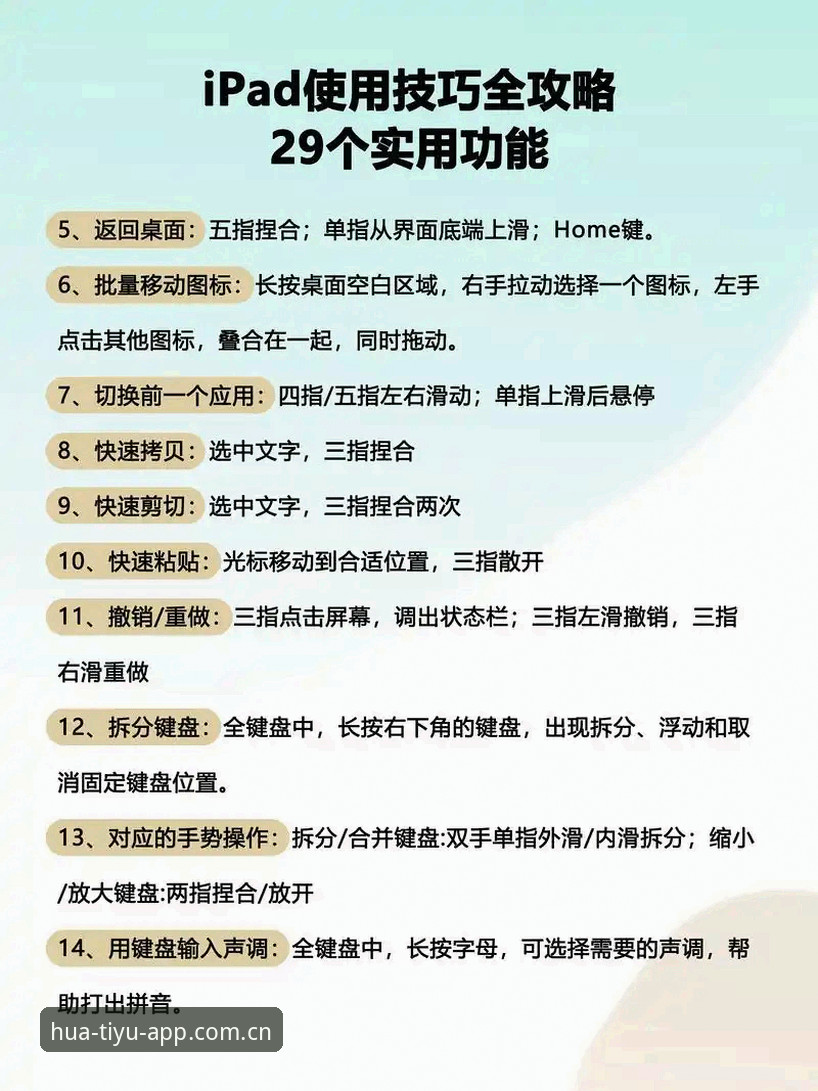 华体育平台app官网使用教程：从下载到精通的操作指南
